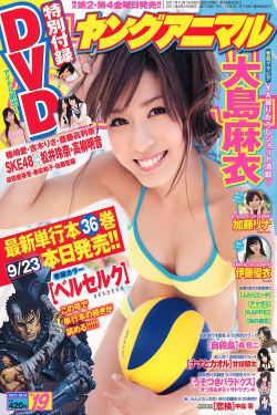 剑风传奇第三季
